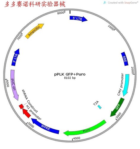 pPLK/GFP+Puro-AHNAK shRNA，AHNAK核蛋白的shRNA敲低载体，50μg