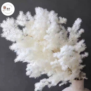 永生蓬莱松干花真花鲜花包装花束配饰紫罗兰装饰diy花艺资材材料