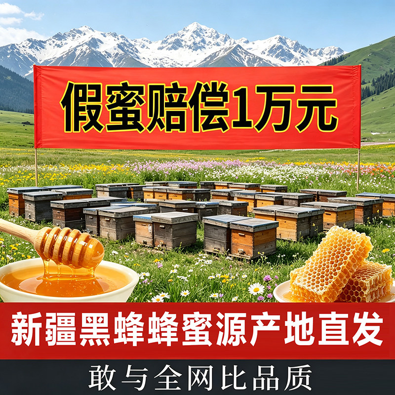 新疆黑蜂蜂蜜雪蜜高档礼盒装纯正天然野生成熟正品百花蜜纯蜂蜜