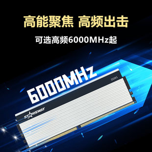 星舞 DDR5 16G 6000/5600 银色马甲条32G台式机电脑主机内存条