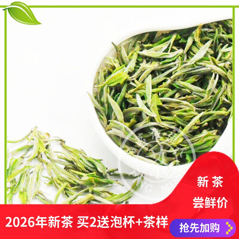 头采早春明前霍山黄芽2026年新茶核心产区内山黄牙250g黄茶叶嫩芽
