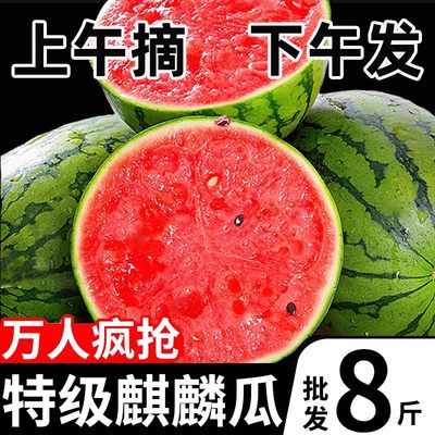 麒麟西瓜新鲜当季水果正宗8424美都非无籽西瓜冰糖无手剥沙瓤爆汁