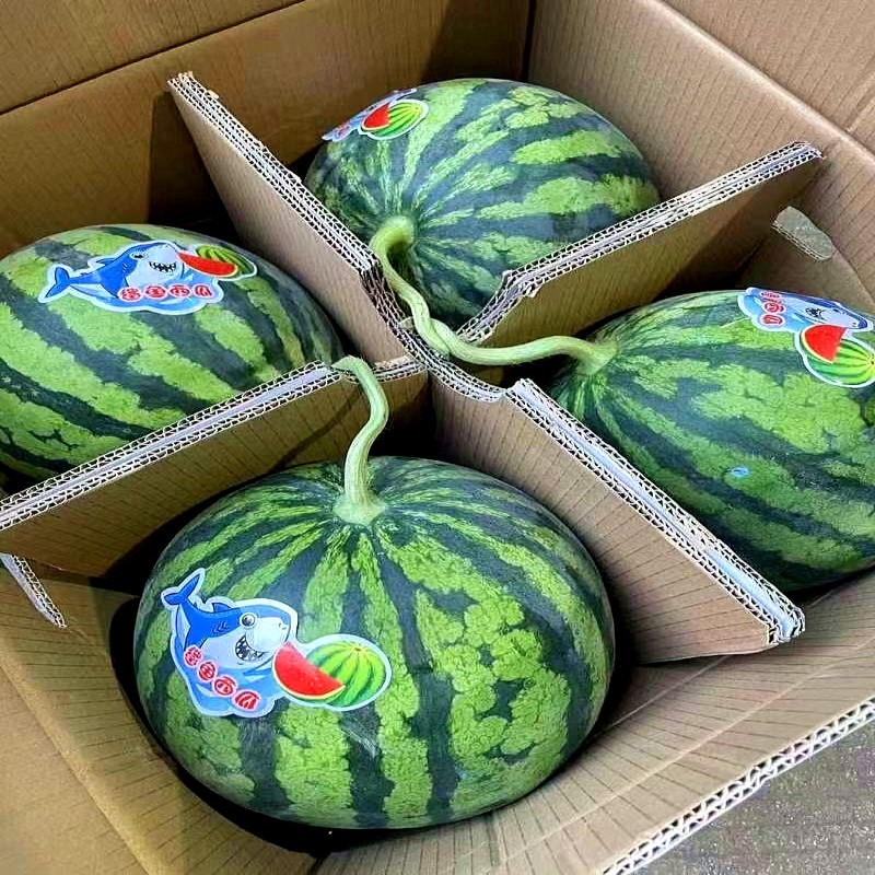 冰糖麒麟西瓜5斤水果新鲜