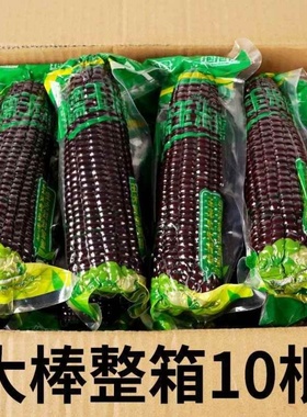 【10根整箱】东北黑糯玉米独立真空黏黏甜糯玉米紫玉米减健身代餐