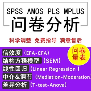 spss数据分析服务调查问卷信效度amos模型代做数据统计处理