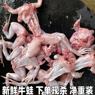 现杀牛蛙超大特大鲜活田鸡蛤蟆现杀牛蛙田鸡蛙肉腿商用火锅食材