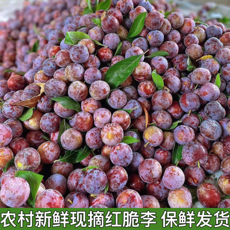 湖北脱骨李脆甜空心李青红脆李