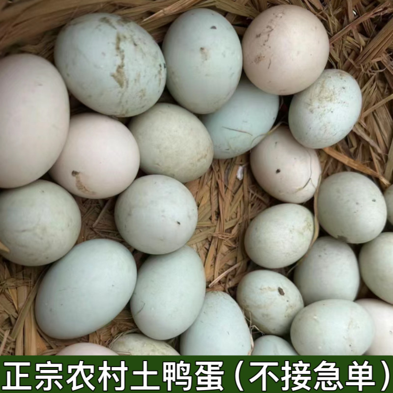 土鸭蛋农家散养新鲜自养湖北农村纯野外放养包邮生30枚整箱笨草麻
