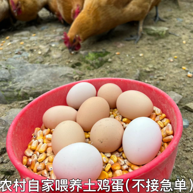 正宗土鸡蛋农村自养老母鸡鸡蛋