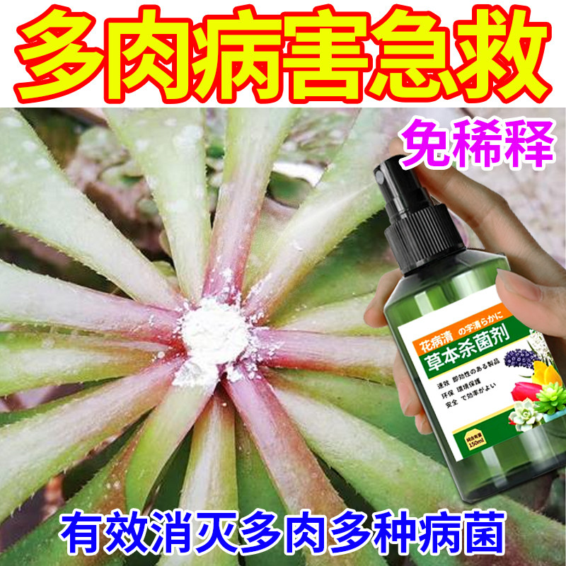 多肉除菌杀菌煤烟病黑斑病白粉病黑腐专用植物祛虫祛菌药