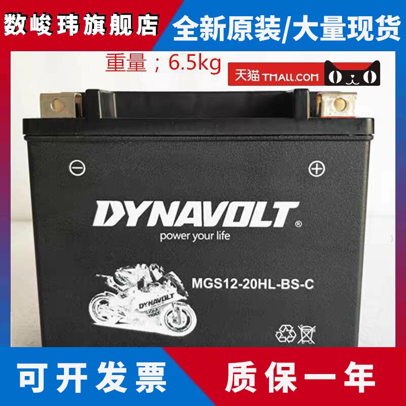 金翼1800电瓶哈雷肥仔戴娜长江650侉子庞巴迪摩托艇12v20猛狮电池