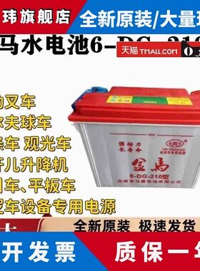 金马水电池6-DG-210型360型150型190型160A/190A/280型12v 拉货车