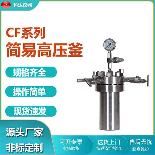 小型简易不锈钢高压釜 CF-0.1不锈钢高压反应釜 简易釜