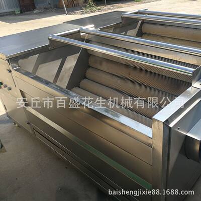 全自动花生去皮清洗机 净菜加工毛辊去皮设备 自动出料红薯磨皮机