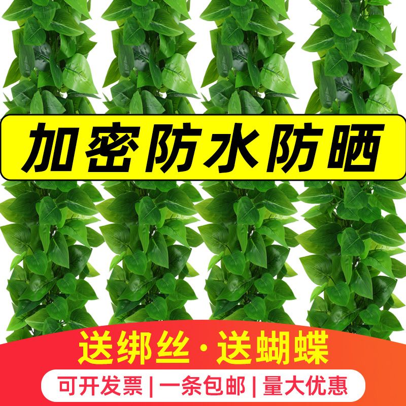 仿真装饰遮挡绿植藤条藤