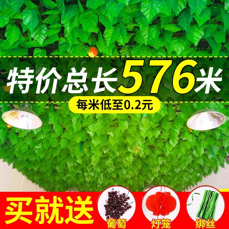 墙面挂饰绿植仿真葡萄叶爬山虎植物藤条绿萝藤蔓装饰管道吊顶绿叶