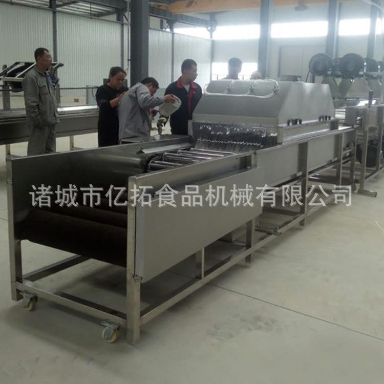 水果清洗抛光打蜡机连续式平行毛辊清洗机直销柚子苹果打蜡机