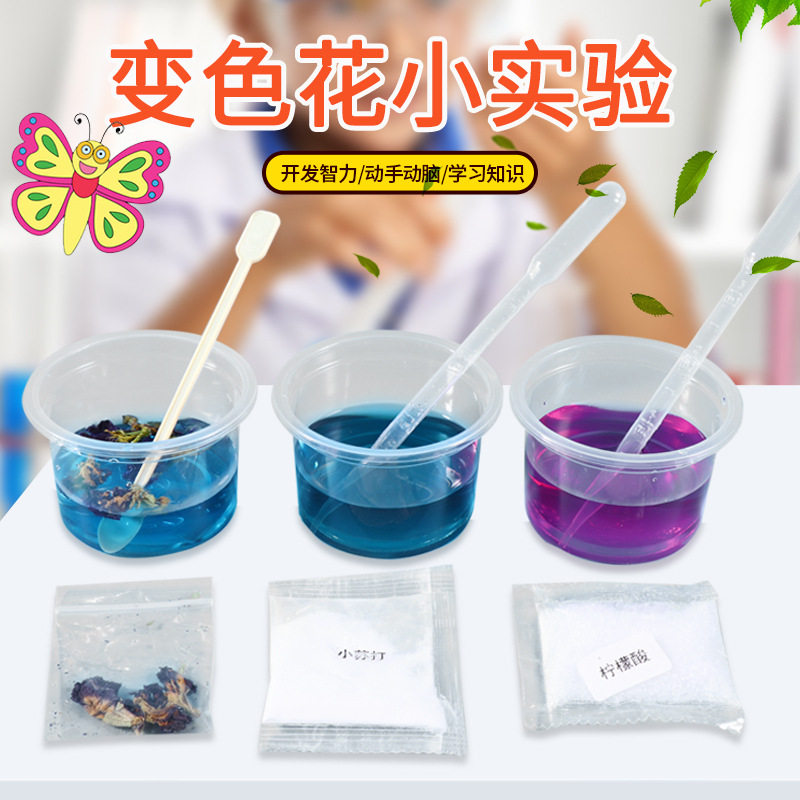 DIY变色花紫罗兰花青素植物酸碱认知科技小制作材料科学手工实验
