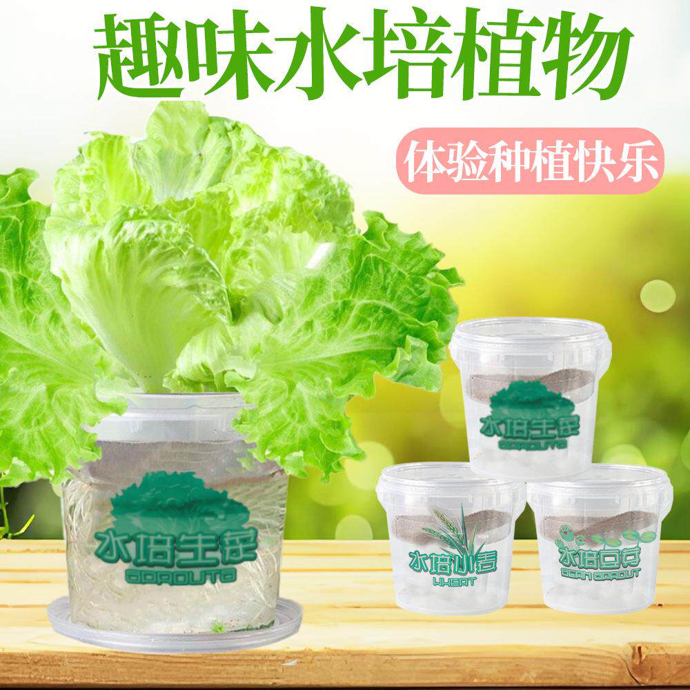 儿童创意种子发芽科学小制作幼儿园小手工科技DIY科普实验材料包