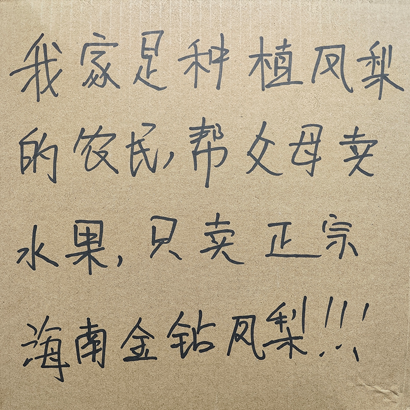 现摘现发正宗海南金钻凤梨9斤当季新鲜水果手撕菠萝整箱精选特级