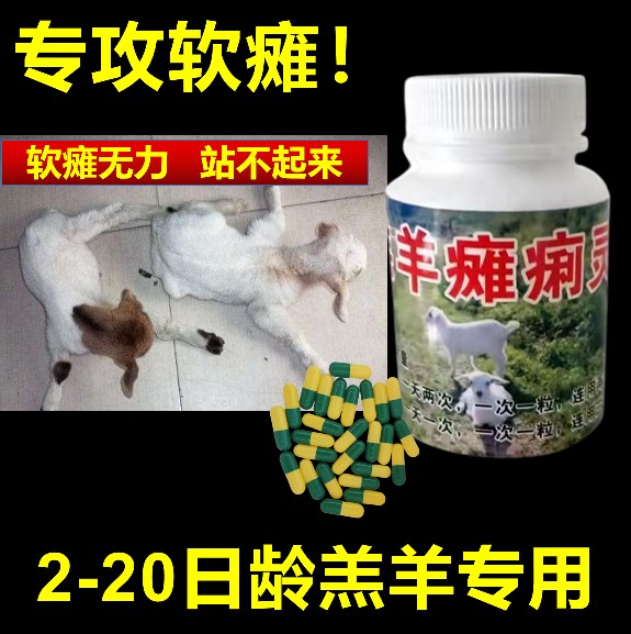 专攻羔羊软瘫软骨无力站不稳强壮