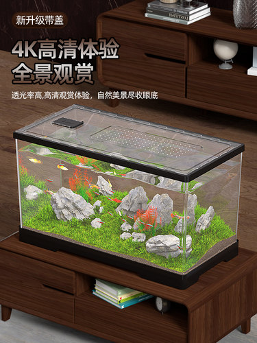 鱼缸客厅小2025全新超白金鱼斗鱼鱼缸亚克力桌面生态水族龟缸