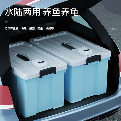 活鱼桶一体成型装鱼桶钓箱鱼缸