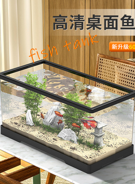 小型鱼缸家用桌面客厅小型电视柜旁超白生态过滤深水乌龟缸养龟箱