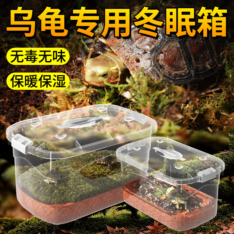 乌龟冬眠饲养盒带盖透明守宫寄居蟹角蛙鬃狮蜥仓鼠爬宠动物冬眠箱,宠物/宠物食品及用品,爬宠缸/箱,淘宝优惠券,粉丝福利购,淘宝优惠卷