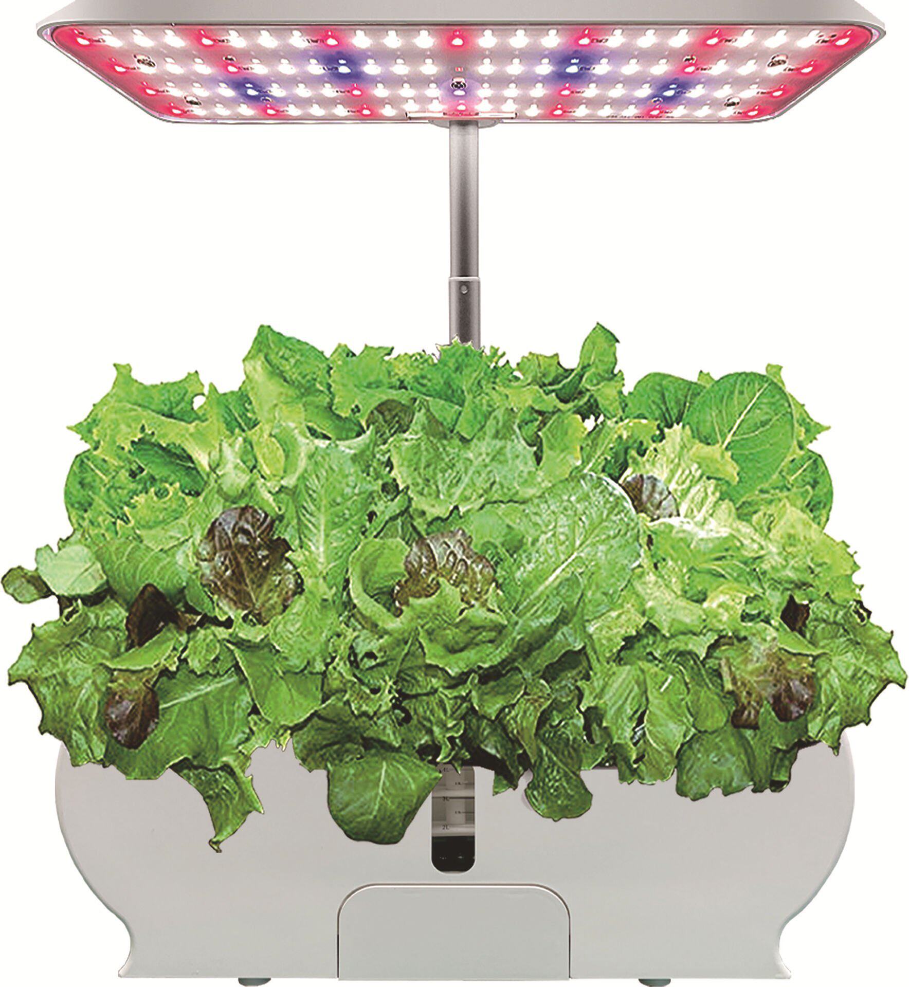 亚马逊热销植物机 智能水培种植器机 家庭室内种菜indoor garden