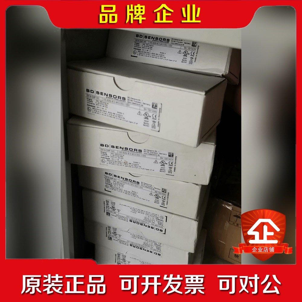 德国 BD SENSOR  DX19-DMP343 100- 议价