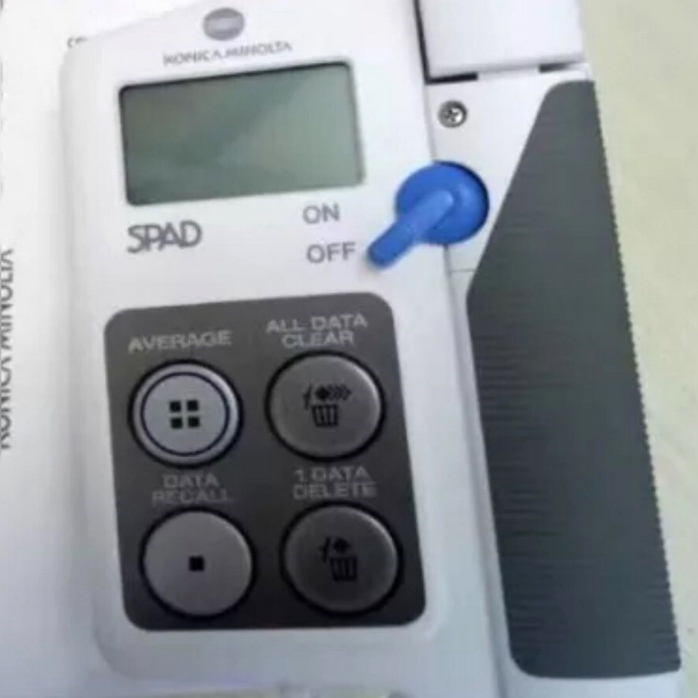 新型KONICA MINOLTA SPAD502PLUS数字 议价