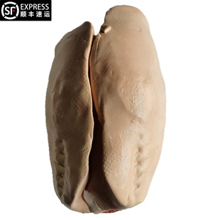 六安霍邱法式鹅肝新鲜冷冻特AABC级朗德鹅肝非即食整只非法国进口