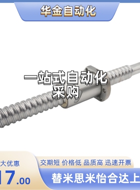 微型滑动丝杠MSSRA1030/1202/1218/1236-40/50/100/200/250/550/8