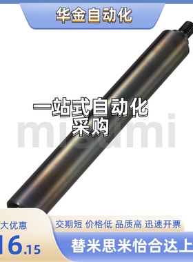 导向轴 VFPN/VSFPN/VRPN/VSRPN4/5/6/8/10/12/13/15/16/20/25/30