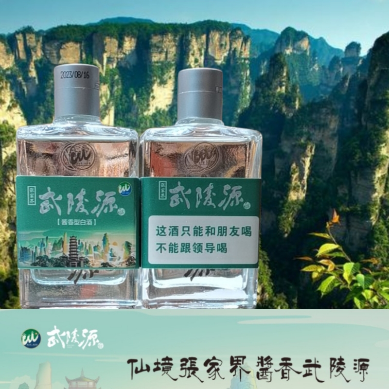 景区同款张家界特产武陵源酒