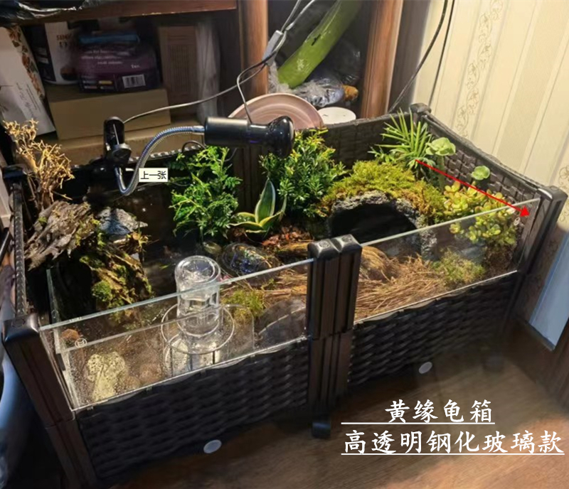 黄缘龟专用饲养箱 幼龟乌龟盆设备排水箱 生态养殖 钢化玻璃款