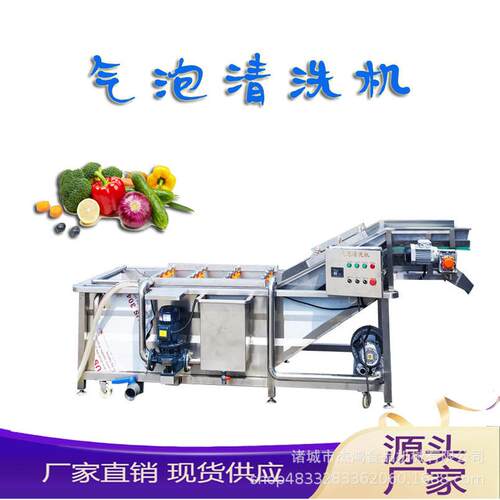 全自动气泡清洗机蔬菜水果清洗设备食物洗菜池冲浪式清洗机