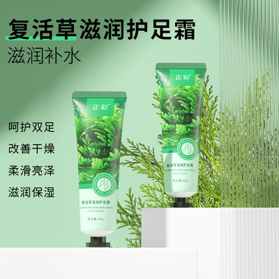 复活草护足霜 Resurrection Grass Moisturizing Foot Cream