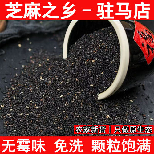 正宗驻马店黑芝麻2025年新