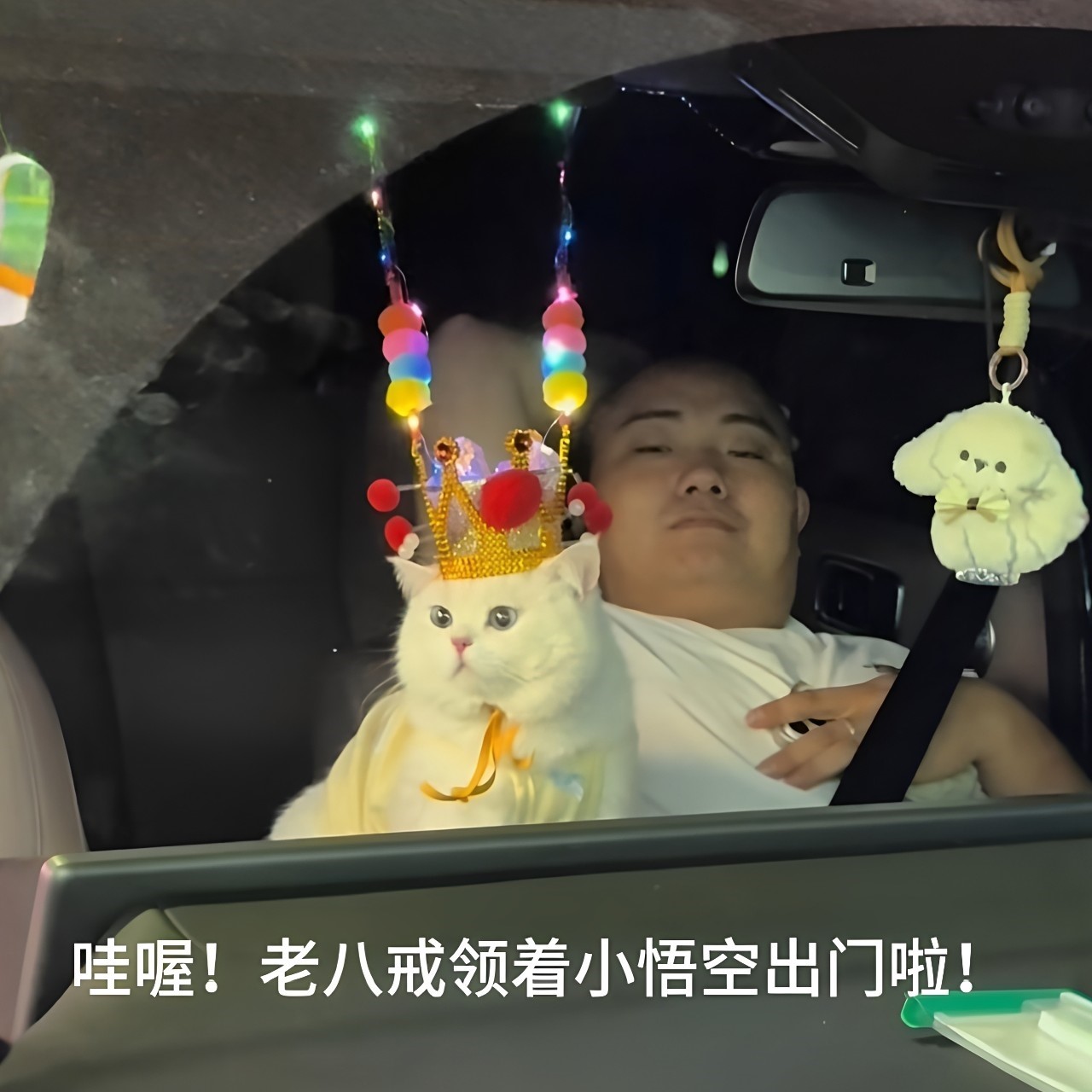 齐天大圣发光猫咪拍照头冠