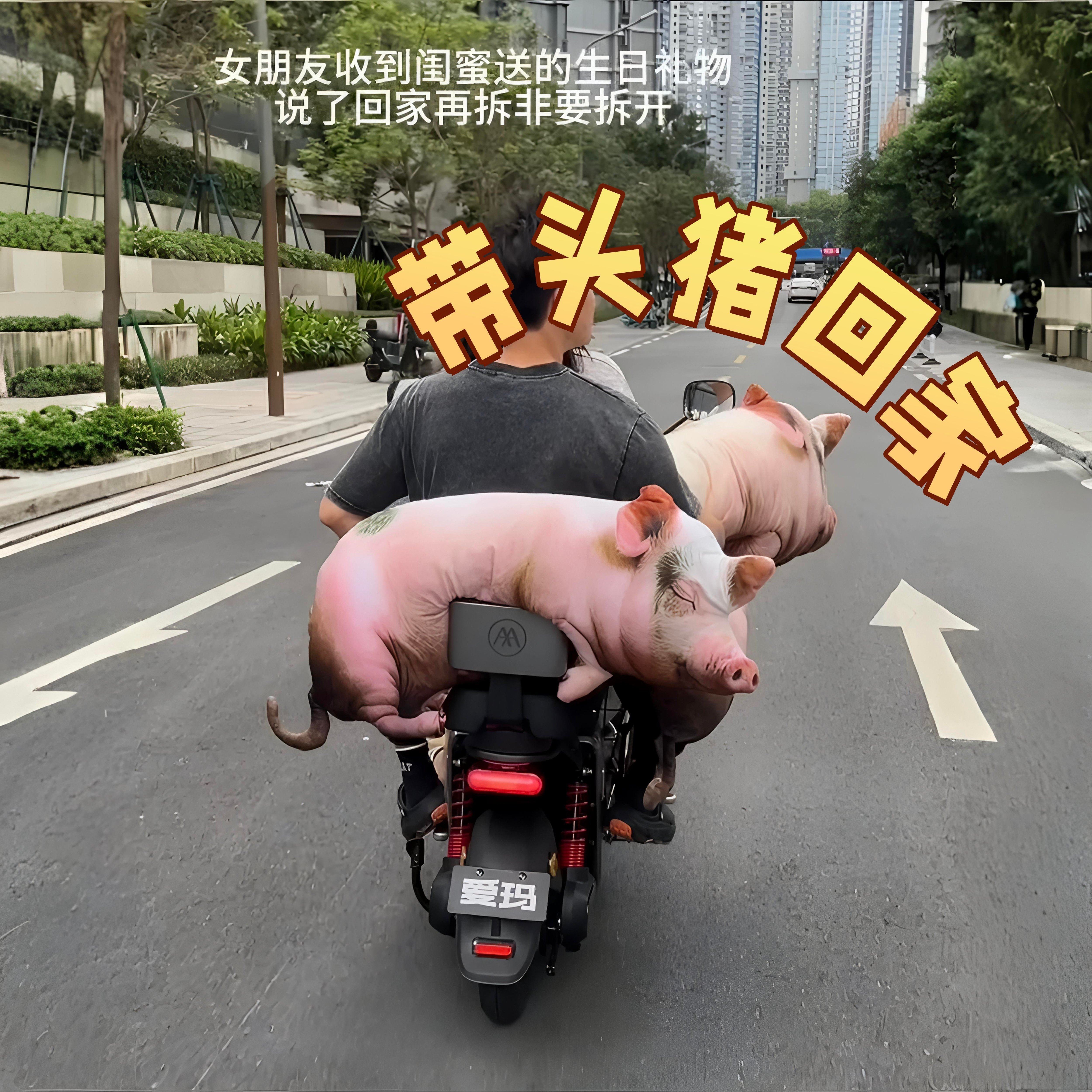 超大仿真猪猪抱枕陪睡礼物
