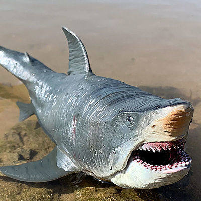 Đồ chơi mô hình cá mập megalodon mẫu mới đồ chơi đại dương cá mập trắng siêu to mẫu mới mô hình thời tiền sử miệng có thể di chuyển cá mập