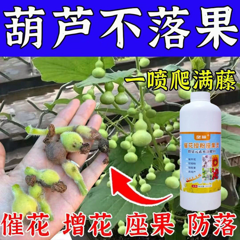 葫芦不落果】授粉免点花神器专用剂保花坐果防落果裂果畸形果增产