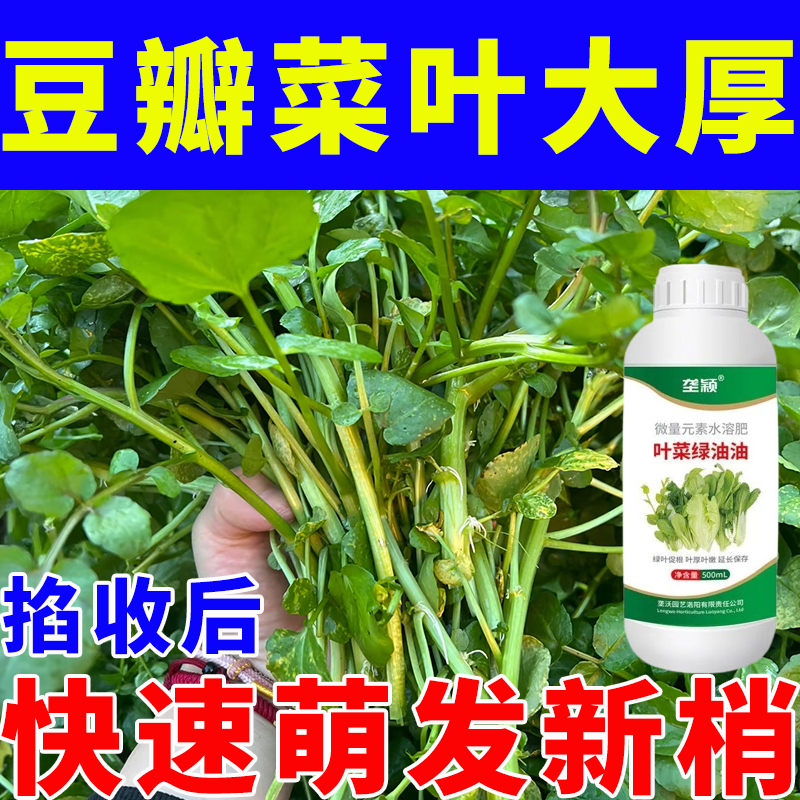 豆瓣菜大叶大埂专用大量元素水溶肥叶面肥料叶片肥厚根系白嫩发达