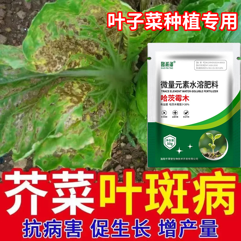 芥菜叶斑专用菌剂黄叶炭疽皱缩白粉根腐枯萎急救叶斑水溶叶面肥料