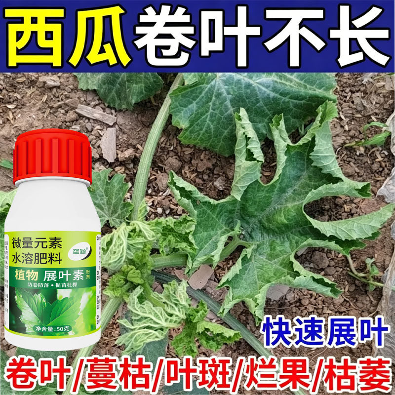 西瓜展叶素专用水溶肥卷叶黄叶蔓枯畸形小叶叶斑枯萎急救促苗壮棵