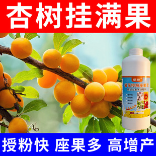 杏树授粉座果肥专用杏子促花保果防落果防裂防畸形增产提高座果率