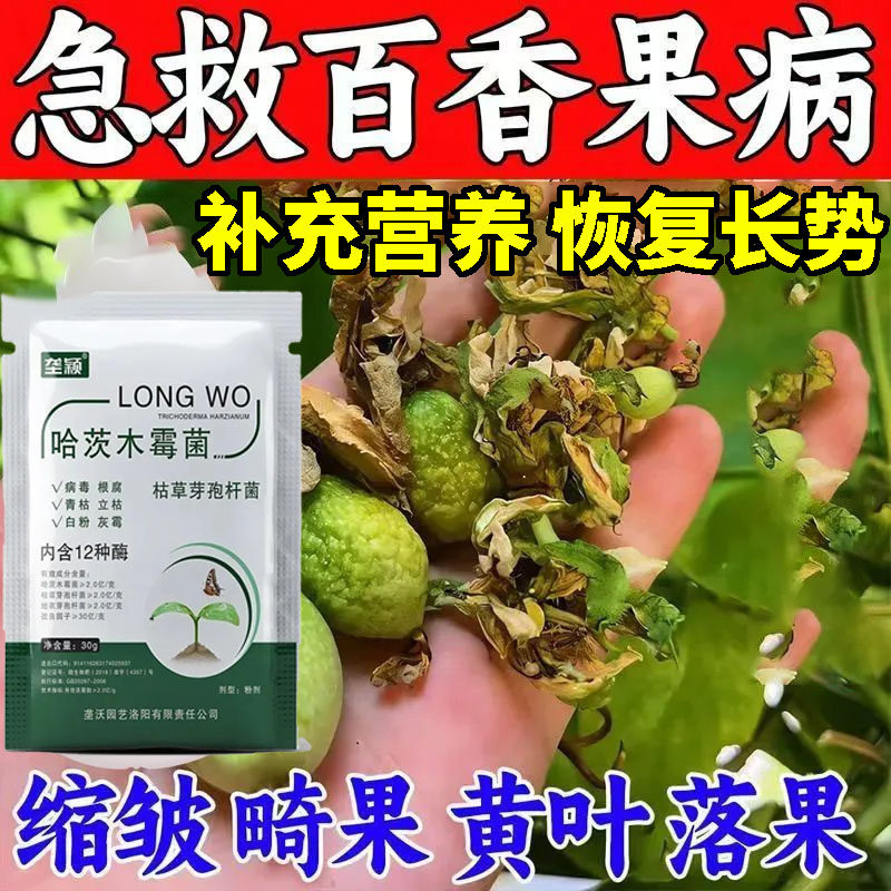 百香果黄叶病黄龙病落叶卷叶落花落果快速抑菌抗病专用黄化叶面肥