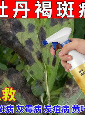 牡丹褐斑病专用水溶肥叶斑病红斑病叶片枯死早落黑色霉状物营养液